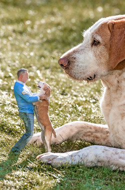 18_man_dog_02